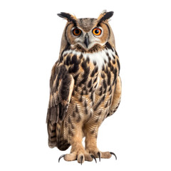 Fototapeta premium Owl isolated on white, transparent background, PNG, generative ai 