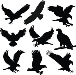 Fototapeta premium eagle silhouette, falcon head silhouette, flying hawk silhouette, eagle eye silhouette, bald eagle silhouette, white and black eagle silhouette vector files