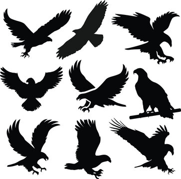 eagle silhouette, falcon head silhouette, flying hawk silhouette,  eagle eye silhouette, bald eagle silhouette, white and black eagle silhouette vector files