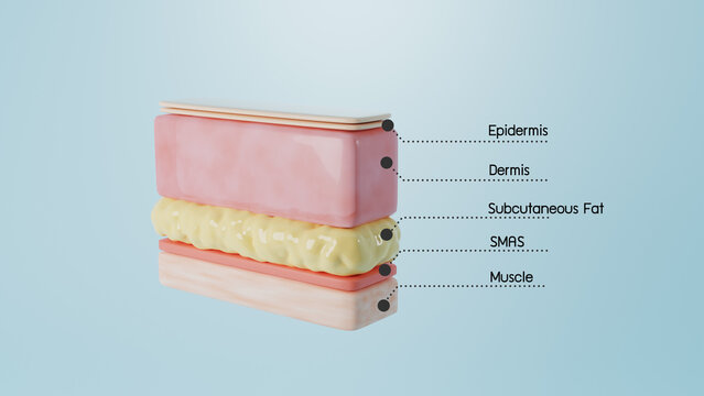 Skin layered structure with details on blue background for laser treatment. 3D rendering.