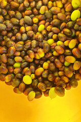 fresh picked olives in yellow bucket
