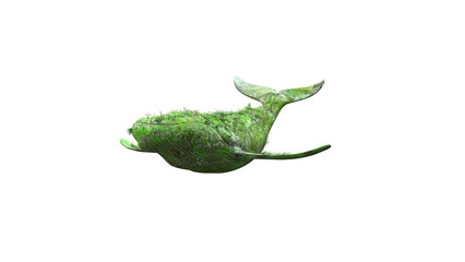 3d render of a green plant on whale flying isolated on gray background with Clipping Path. Whale in the imagination. Impossible and creative concept. Whale Flower Fantasy/Fairy tale 3D Render. 