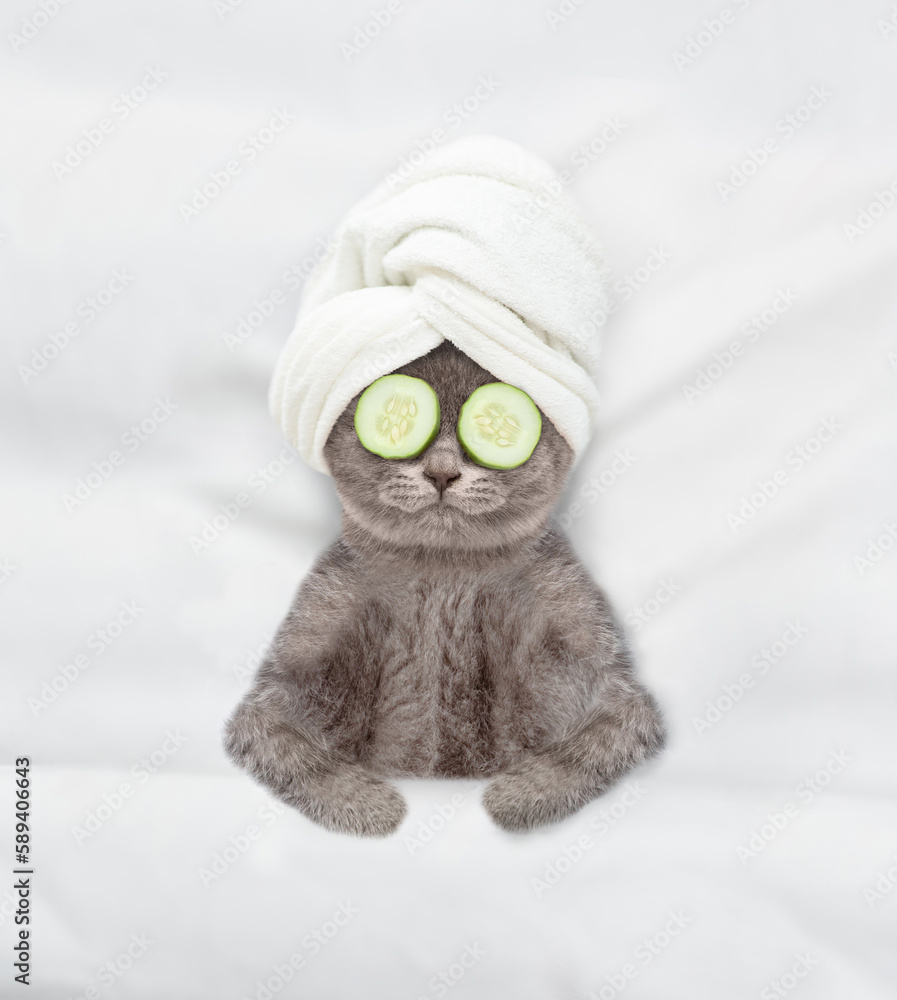 Aufkleber Cute kitten with towel on it head and with a pieces of cucumber on it eyes relaxing on the bed at home. Top down view