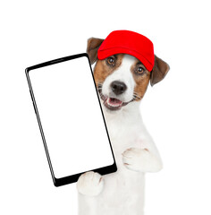 Jack russell terrier puppy wearing red cap holds big smartphone with white blank screen in it paw, showing close to camera. isolated on white background