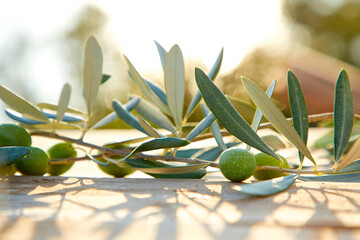 Freshly harvested olives berries and olive oil