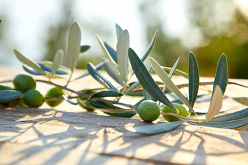 Freshly harvested olives berries and olive oil