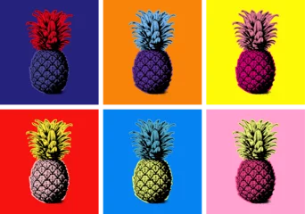 Fototapeten Pineapple Vector illustration Set. Exotic Tropical Fruit. Hand Drawn. Pop Art. Artificial Art © martstudio