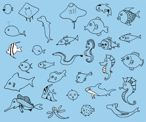 여러가지 모양의 물고기