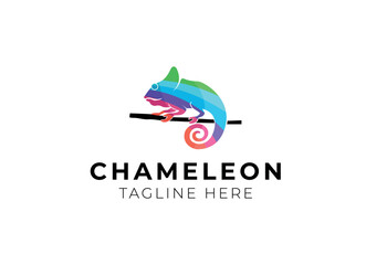 colorful chameleon logo design vector © AlvinStd.