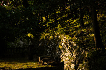 Stone wall illuminated by the morning sun