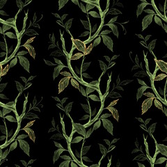 Green leaves and branches seamless pattern on black.