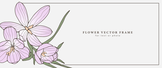 Delicate vector floral frame with pink crocuses and green lilies. Frame for photo, text, business cards, postcards and presentations