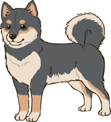 Fototapeta premium 黒柴