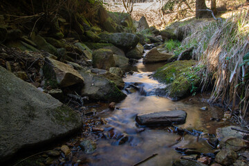 Naklejka na ściany i meble small stream in forest with many stones