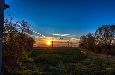 Fototapeta premium Windräder im Sonnenaufgang bei blauem Himmel