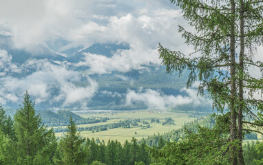 Fototapeta premium Foggy morning in the mountains, cloudy weather, summer travel