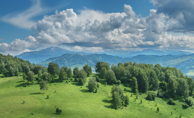 Naklejka premium View of a summer day in the mountains, green meadows, mountain slopes and hills, countryside