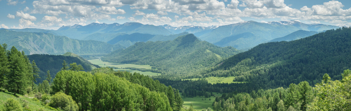 View of the mountain valley, summer greenery, sunny day, panoramic view