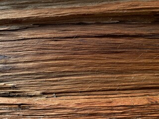 Fototapeta premium Wood texture background natural texture in dark wooden brown colour.