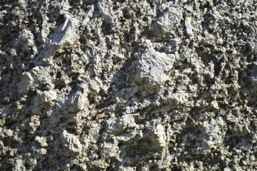 Geology. Stone background. Fragment of huge light gray granite.