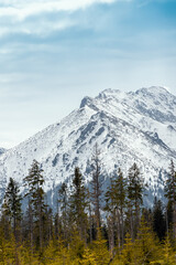 Mountain peak covered with snow. Green spruces in the foreground. Blue sky. View from the green trail to Rusinowa Polana. Tatra Mountains, Poland © p  a  t  r  i  c  k