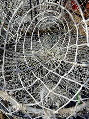 Lobster basket traps at Hastings Fish Market Stade area in East Sussex, England