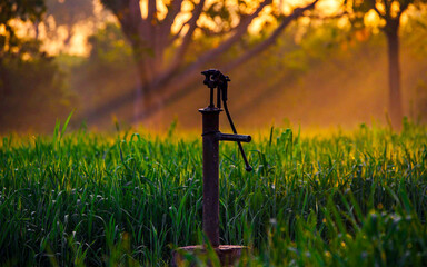 beautiful sunset view in random village at Peshawar, Pakistan