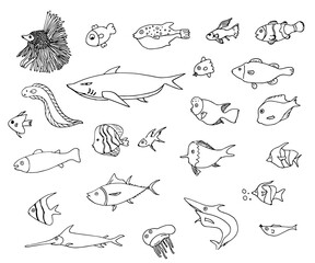 다양한 종류의 물고기