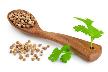 Dried coriander seeds in the wooden spoon with fresh green leaf isolated on white background