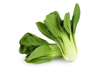 Fresh pak choi cabbage isolated on white background with full depth of field