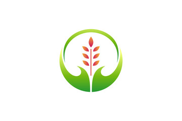 wheat care logo design template