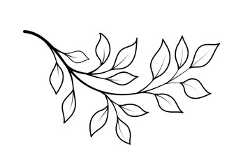 Line art branch. Leaves of tropical plants, exotic flowers and bushes. Aesthetics and elegance, fashion, trend and style. Poster or banner for website. Cartoon flat vector illustration