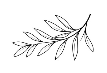 Line art branch. Jungle, rainforest, garden or forest. Part of flowers and plants for bouquet at Valentines Day and wedding. Summer and spring season. Cartoon flat vector illustration