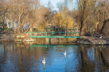 lake in the park