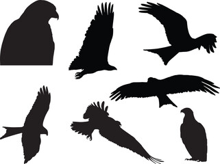 Obraz premium set of silhouettes of birds