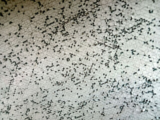 Synthetic rubber fabric surface has many cracks, light blue color. 