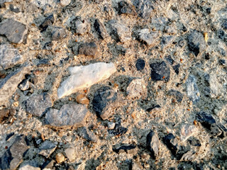 The path surface where many rock outcrops are beautifully lit.