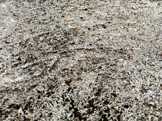 The surface of the old cement floor has holes and various cracks.