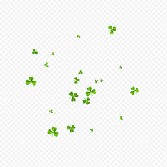 Olive color Clover Stream Vector Transparent