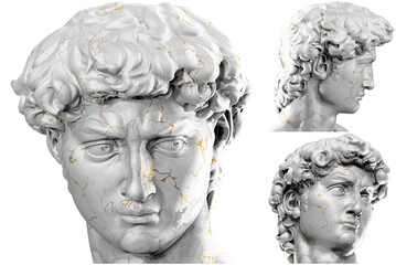 Obraz premium Beautiful 3D render of Michelangelo's David head sculpture.