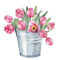 Watercolor bouquet of pink tulip flowers in a bucket