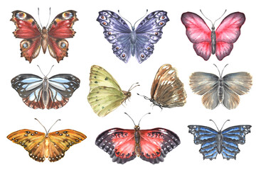 Watercolor set of beautiful colorful butterflies