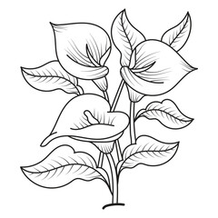 Set of different flower line on white background. Flowers drawing with line-art on white backgrounds. 