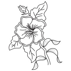Set of different flower line on white background. Flowers drawing with line-art on white backgrounds. 