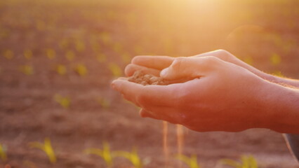 The hands of a farmer with fertile land. Organic farming concept