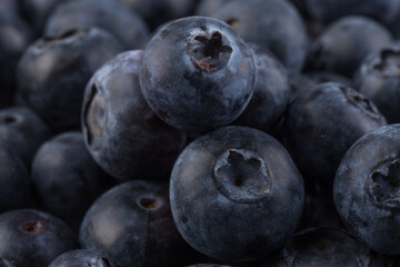 Blueberries on stone plate background