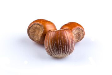 Obraz premium Hazelnuts on white