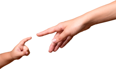 Child and adult human hands isolated on white