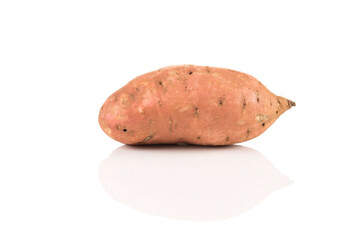 Sweet potato on the white background