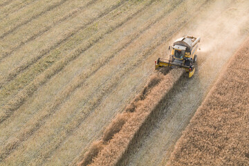aerial view of the harvester on the field.